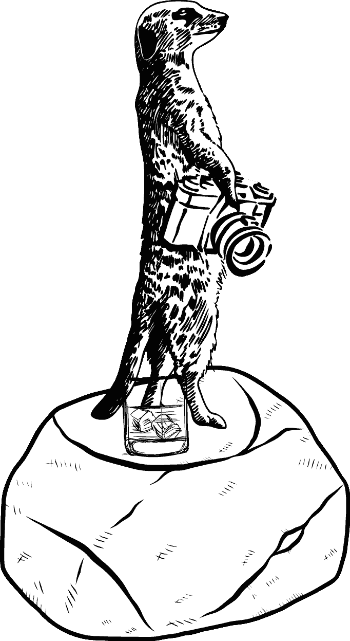 Bigwig Scene Meerkat
